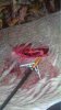 ImageUploadedByBowhunting.com Forums1454812351.691567.jpg