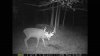 ImageUploadedByBowhunting.com Forums1455050979.637185.jpg