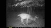 ImageUploadedByBowhunting.com Forums1455050996.599321.jpg
