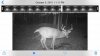 ImageUploadedByBowhunting.com Forums1455051015.530152.jpg