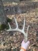 ImageUploadedByBowhunting.com Forums1457555459.565396.jpg