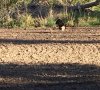IMG_1211.jpg