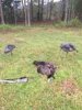 ImageUploadedByBowhunting.com Forums1459008475.145014.jpg