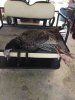 ImageUploadedByBowhunting.com Forums1459008636.388355.jpg
