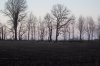 DSC06142.jpg