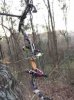 ImageUploadedByBowhunting.com Forums1460603208.860212.jpg