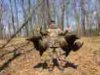 ImageUploadedByBowhunting.com Forums1460869309.990674.jpg