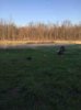 ImageUploadedByBowhunting.com Forums1461153981.382621.jpg