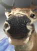 ImageUploadedByBowhunting.com Forums1461364259.506011.jpg