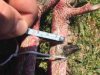 ImageUploadedByBowhunting.com Forums1461602488.909578.jpg