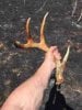 ImageUploadedByBowhunting.com Forums1462767549.945735.jpg