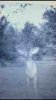 ImageUploadedByBowhunting.com Forums1464739050.922908.jpg