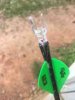ImageUploadedByBowhunting.com Forums1464917900.822961.jpg