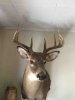 ImageUploadedByBowhunting.com Forums1466694424.086297.jpg