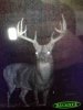 ImageUploadedByBowhunting.com Forums1467338442.714821.jpg