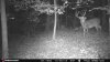 ImageUploadedByBowhunting.com Forums1467341830.341451.jpg
