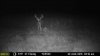 ImageUploadedByBowhunting.com Forums1467346172.124696.jpg