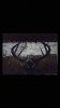 ImageUploadedByBowhunting.com Forums1467350694.373745.jpg