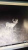 ImageUploadedByBowhunting.com Forums1467351515.774128.jpg