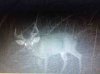 ImageUploadedByBowhunting.com Forums1467383679.906958.jpg