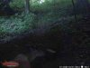 ImageUploadedByBowhunting.com Forums1467505828.667574.jpg