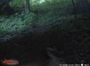 ImageUploadedByBowhunting.com Forums1467505848.427734.jpg