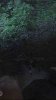 ImageUploadedByBowhunting.com Forums1467551997.318718.jpg
