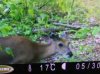 ImageUploadedByBowhunting.com Forums1467852898.005273.jpg