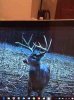 ImageUploadedByBowhunting.com Forums1467904232.208444.jpg