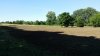 20160708_170126.jpg