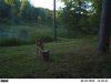 ImageUploadedByBowhunting.com Forums1468186221.534467.jpg