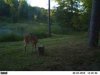 ImageUploadedByBowhunting.com Forums1468186239.892409.jpg