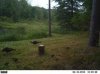 ImageUploadedByBowhunting.com Forums1468186252.132033.jpg