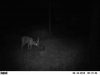 ImageUploadedByBowhunting.com Forums1468186274.617475.jpg