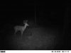 ImageUploadedByBowhunting.com Forums1468186285.349261.jpg