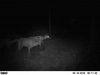 ImageUploadedByBowhunting.com Forums1468186299.673185.jpg