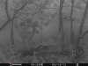 ImageUploadedByBowhunting.com Forums1468186353.825140.jpg