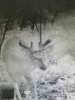 ImageUploadedByBowhunting.com Forums1468186377.311590.jpg