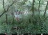 ImageUploadedByBowhunting.com Forums1468186454.533254.jpg