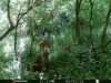ImageUploadedByBowhunting.com Forums1468186461.687919.jpg