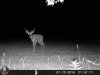 ImageUploadedByBowhunting.com Forums1468548021.534395.jpg