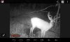 2016 BUCK 1.jpg
