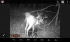 2016 BUCK 2.jpg