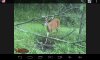 2016 BUCK 3.jpg