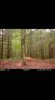 ImageUploadedByBowhunting.com Forums1469385918.780714.jpg