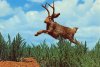 Jackalope.jpg