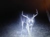 2014 6pt cam.jpg