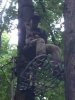 ImageUploadedByBowhunting.com Forums1469662319.751970.jpg