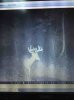 ImageUploadedByBowhunting.com Forums1469739449.620989.jpg