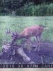 ImageUploadedByBowhunting.com Forums1469739466.836337.jpg